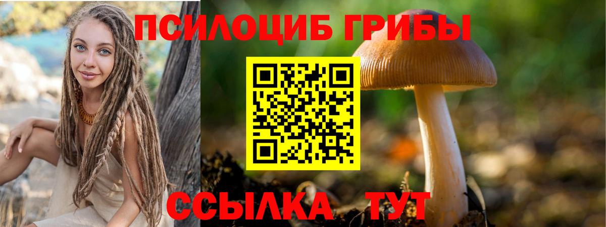 Галлюциногенные грибы Cubensis Кыштым